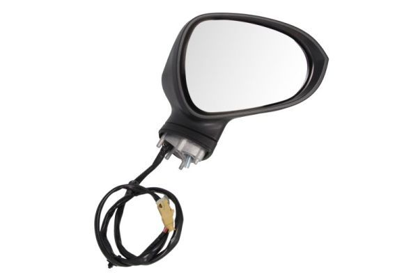 BLIC 5402-10-2002280P Exterior Mirror