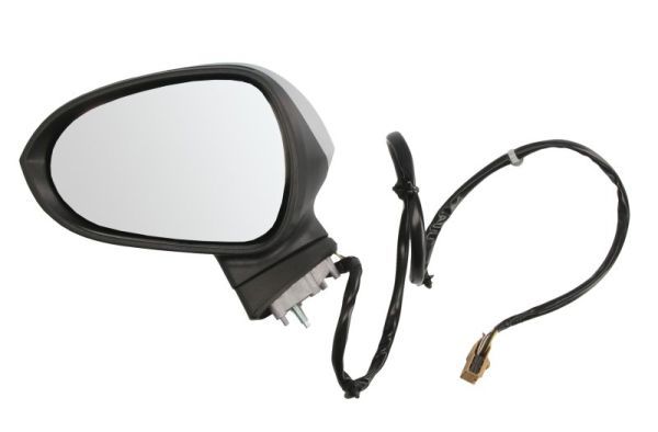 BLIC 5402-10-2002281P Exterior Mirror