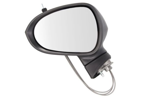 BLIC 5402-10-2002283P Exterior Mirror