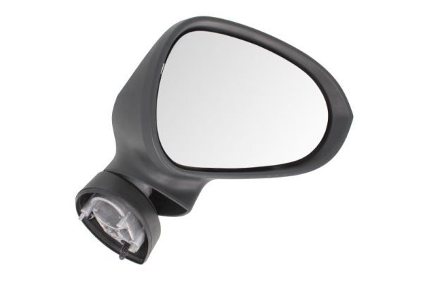 BLIC 5402-10-2002288P Exterior Mirror