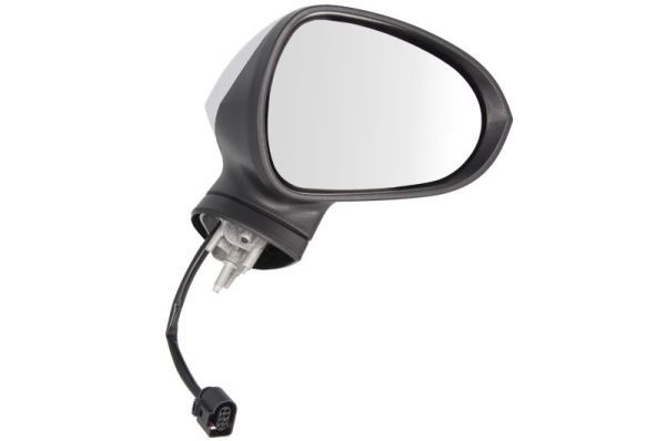 BLIC 5402-10-2002296P Exterior Mirror