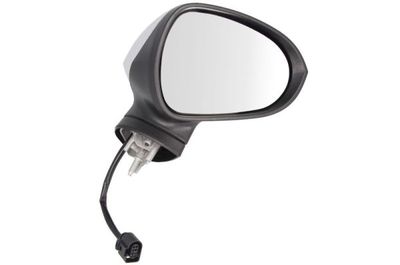 Exterior Mirror BLIC 5402-10-2002296P