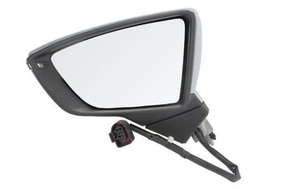 Exterior Mirror BLIC 5402-10-2002301P