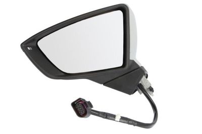 Exterior Mirror BLIC 5402-10-2002305P