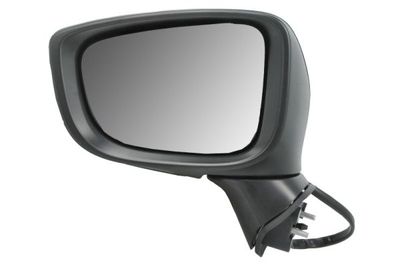Exterior Mirror BLIC 5402-14-2001705P