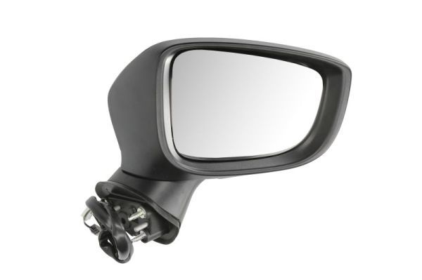 BLIC 5402-14-2001706P Exterior Mirror