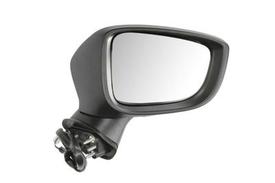 Exterior Mirror BLIC 5402-14-2001706P