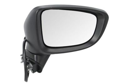 Exterior Mirror BLIC 5402-14-2001728P