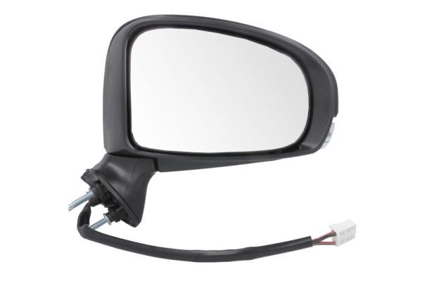 BLIC 5402-19-2002450P Exterior Mirror