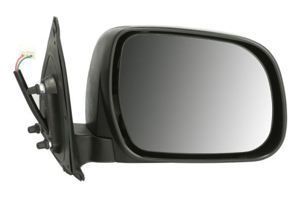 BLIC 5402-19-2002481P Exterior Mirror