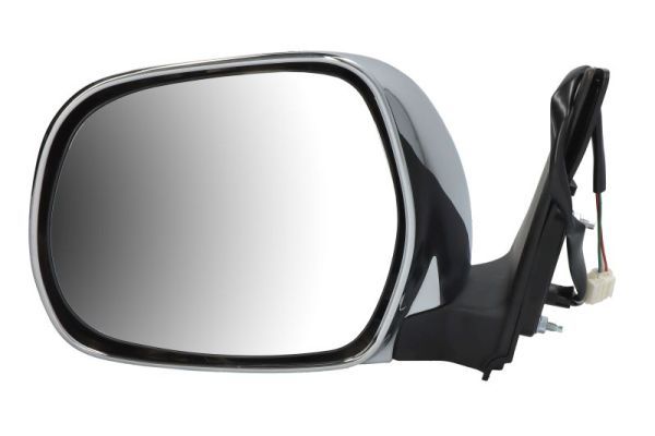 BLIC 5402-19-2002501P Exterior Mirror