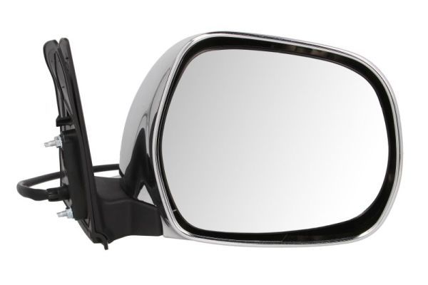 BLIC 5402-19-2002504P Exterior Mirror