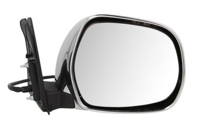 Exterior Mirror BLIC 5402-19-2002504P