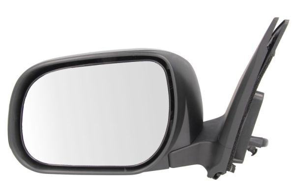 BLIC 5402-19-2002529P Exterior Mirror