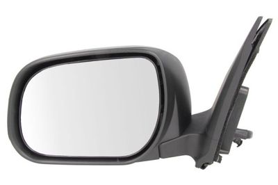 Exterior Mirror BLIC 5402-19-2002529P
