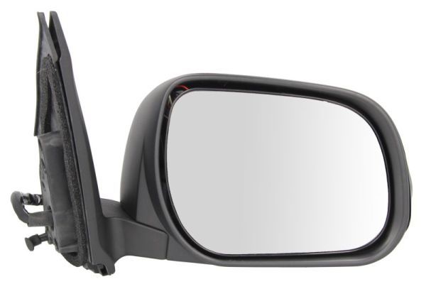 BLIC 5402-19-2002530P Exterior Mirror