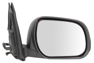 Exterior Mirror BLIC 5402-19-2002530P