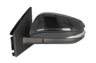 Exterior Mirror BLIC 5402-19-2002539P