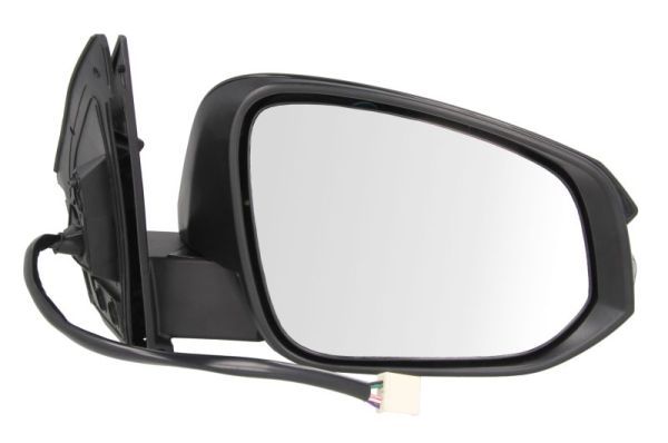 BLIC 5402-19-2002540P Exterior Mirror