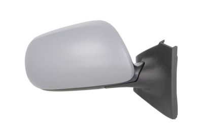 Exterior Mirror BLIC 5402-19-2002544P