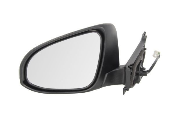 BLIC 5402-19-2002551P Exterior Mirror