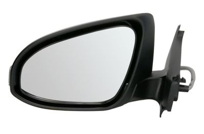 Exterior Mirror BLIC 5402-19-2002557P