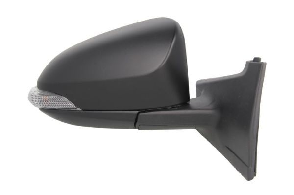 BLIC 5402-19-2002558P Exterior Mirror