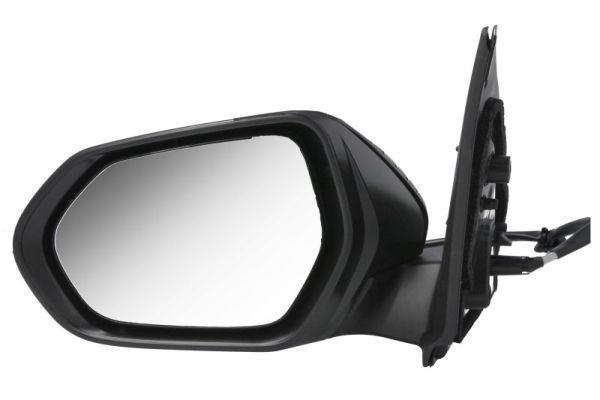 BLIC 5402-19-2392312P Exterior Mirror
