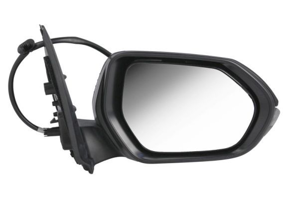 BLIC 5402-19-2392313P Exterior Mirror