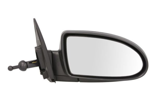 BLIC 5402-20-2001356P Exterior Mirror