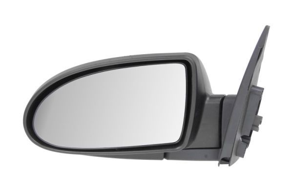 BLIC 5402-20-2001357P Exterior Mirror