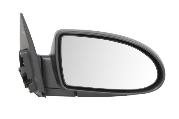 BLIC 5402-20-2001358P Exterior Mirror