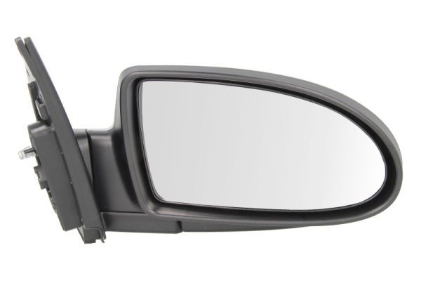 BLIC 5402-20-2001360P Exterior Mirror