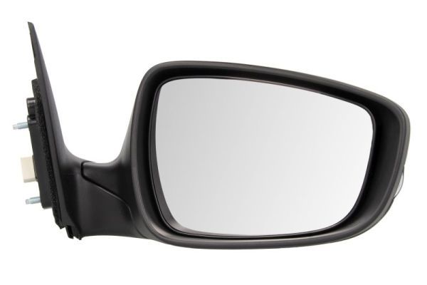BLIC 5402-20-2001374P Exterior Mirror