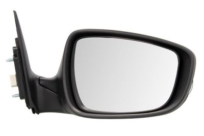 Exterior Mirror BLIC 5402-20-2001374P