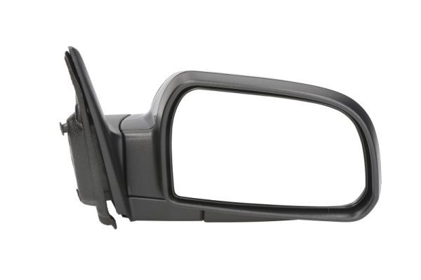 BLIC 5402-20-2001378P Exterior Mirror