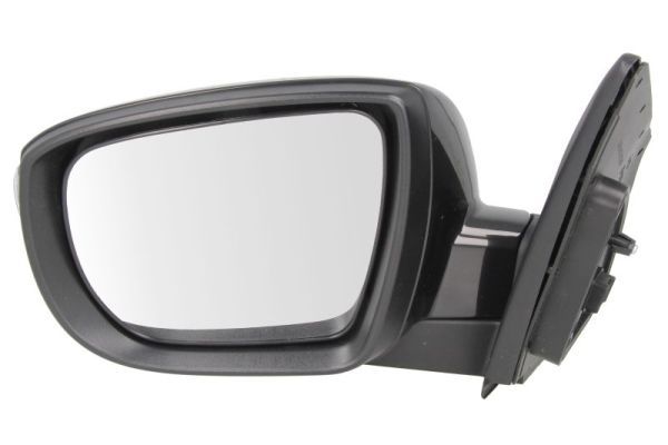 BLIC 5402-20-2001421P Exterior Mirror