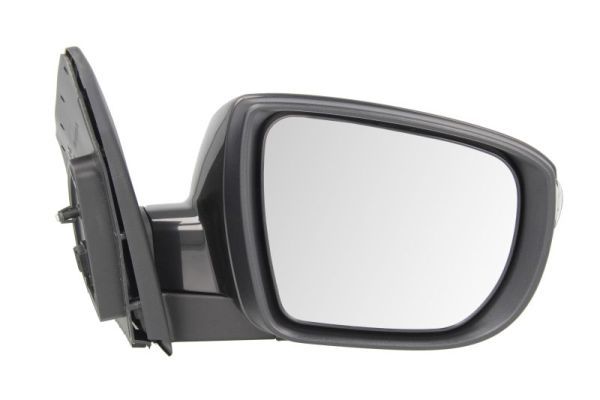 BLIC 5402-20-2001422P Exterior Mirror