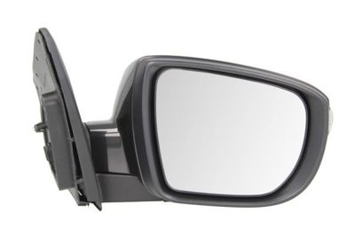 Exterior Mirror BLIC 5402-20-2001422P
