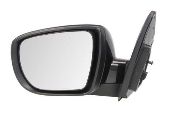 BLIC 5402-20-2001423P Exterior Mirror