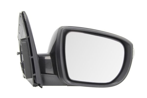 BLIC 5402-20-2001424P Exterior Mirror