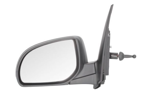 BLIC 5402-20-2002849P Exterior Mirror