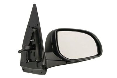 Exterior Mirror BLIC 5402-20-2002850P