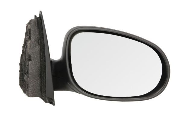BLIC 5402-23-2001594P Exterior Mirror