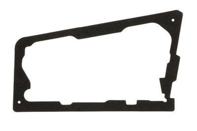 Gasket, tail light assembly BLIC 5402-25-0062501P