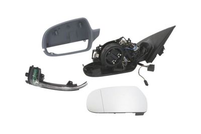 Exterior Mirror BLIC 5402-25-049335P