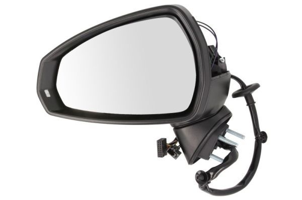 BLIC 5402-25-2001021P Exterior Mirror