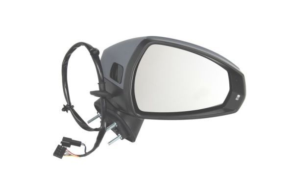 BLIC 5402-25-2001022P Exterior Mirror