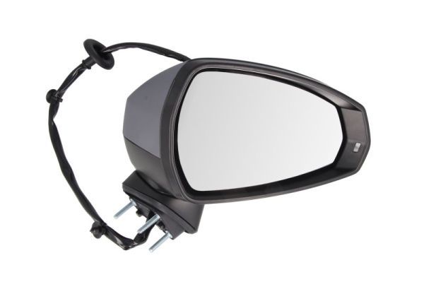 BLIC 5402-25-2001028P Exterior Mirror