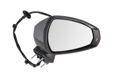 Exterior Mirror BLIC 5402-25-2001028P